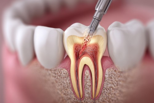 歯だけでなく骨格からコントロールします